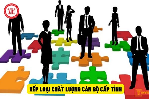 xep-loai-chat-luong-can-bo-cap-tinh