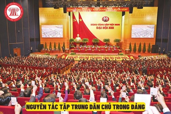 Nguyên tắc dân chủ là gì?
