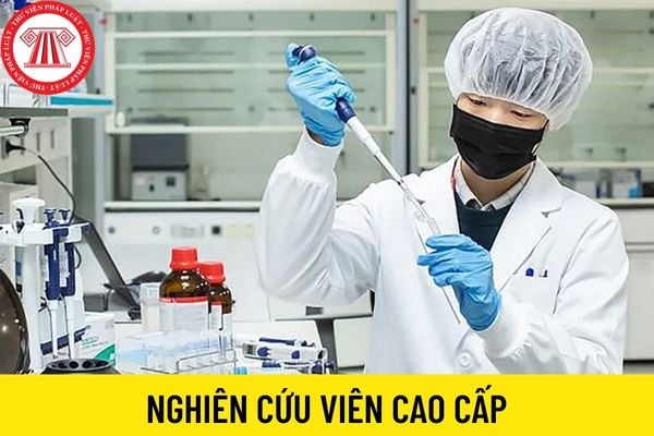 nghiên cứu viên cao cấp