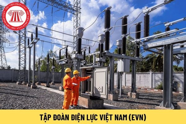 Kiểm soát viên EVN