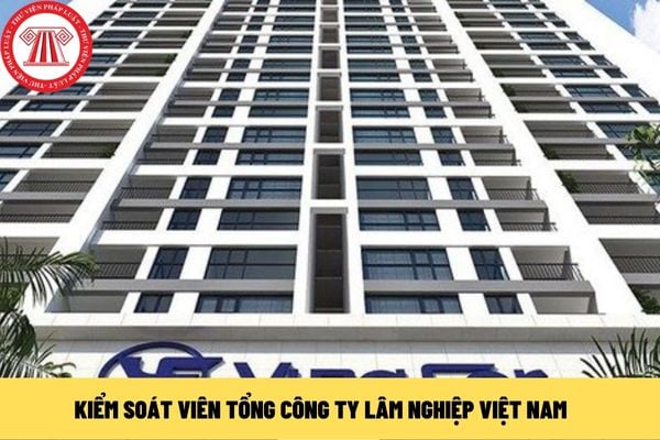 Kiểm soát viên Tổng công ty Lâm nghiệp Việt Nam