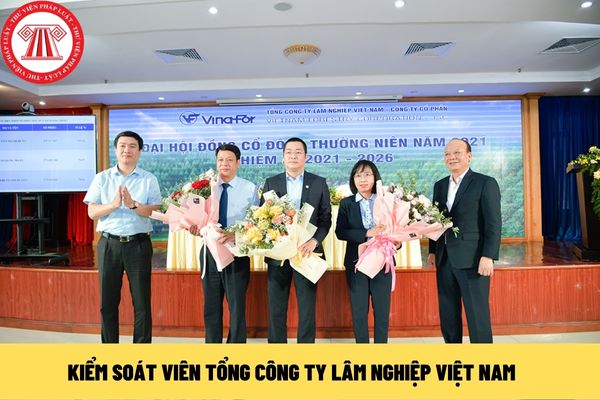 Kiểm soát viên Tổng công ty Lâm nghiệp Việt Nam