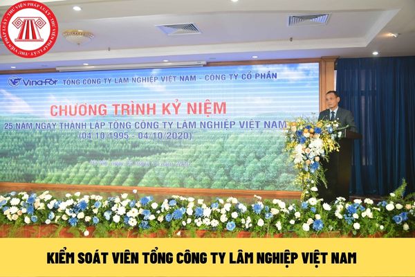 Kiểm soát viên Tổng công ty Lâm nghiệp Việt Nam