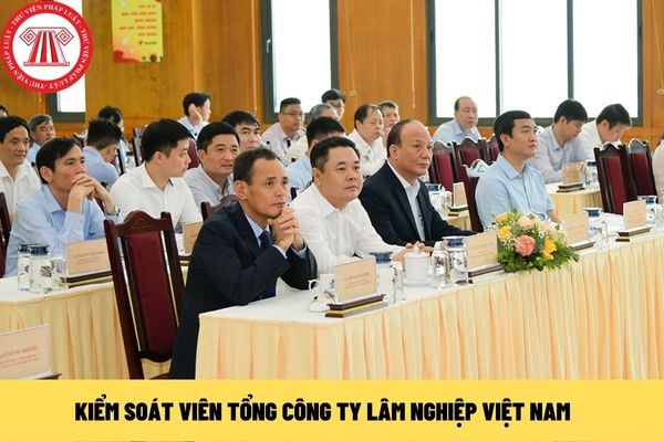 kiểm soát viên