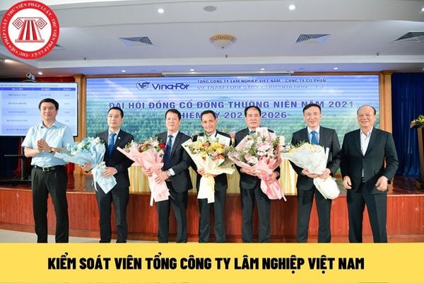 kiểm soát viên