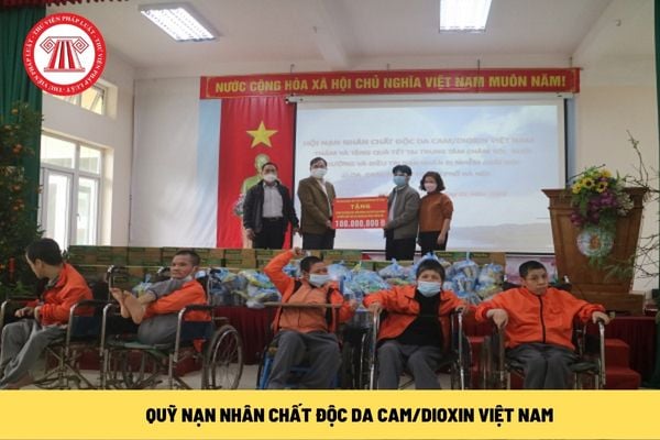 Nạn nhân chất độc da cam