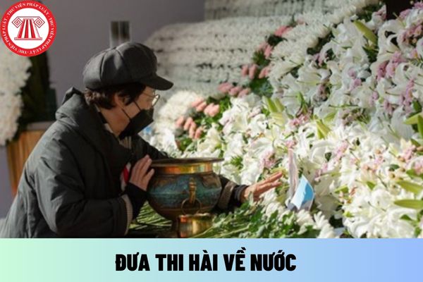 đưa thi hài về nước