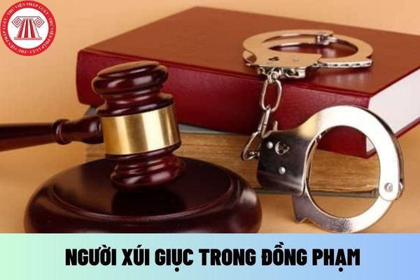 NGƯỜI XÚI GIỤC TRONG ĐỒNG PHẠM