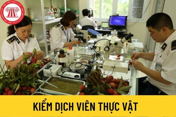 kiểm dịch viên thực vật