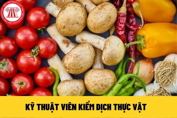 kiểm dịch thực vật