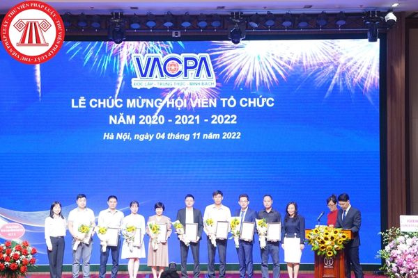Hội Kiểm toán viên hành nghề Việt Nam