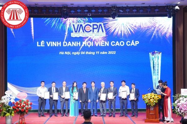 Hội Kiểm toán viên hành nghề Việt Nam