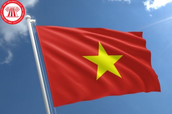 Con dấu doanh nghiệp có hình Quốc kỳ Việt Nam