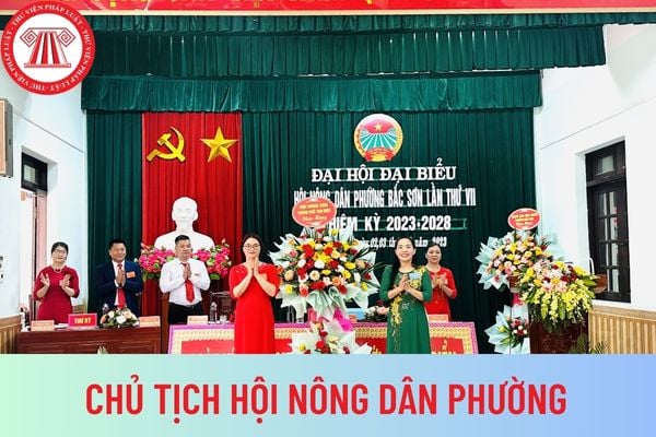 HỘI ĐỒNG NHÂN DÂN PHƯỜNG