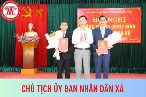 CHỦ TỊCH ỦY BAN NHÂN DÂN XÃ