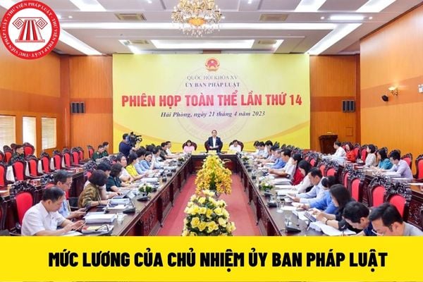 chủ nhiệm ủy ban pháp luật