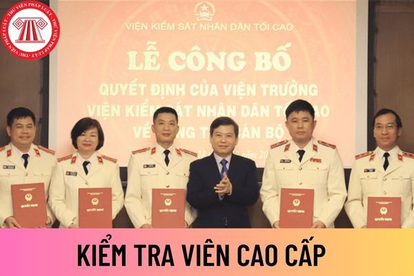 miễn nhiệm kiểm tra viên cao cấp