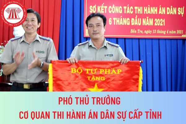 cơ quan thi hành án dân sự