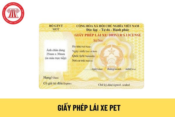 Mẫu giấy phép lái xe PET