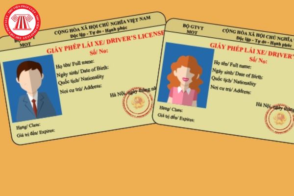 giấy phép lái xe PET