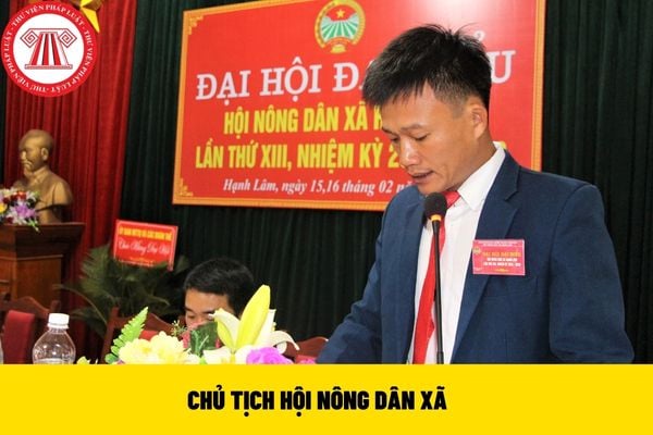 Chủ tịch Hội Nông dân xã