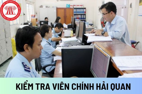 KIỂM TRA VIÊN CHÍNH HẢI QUAN