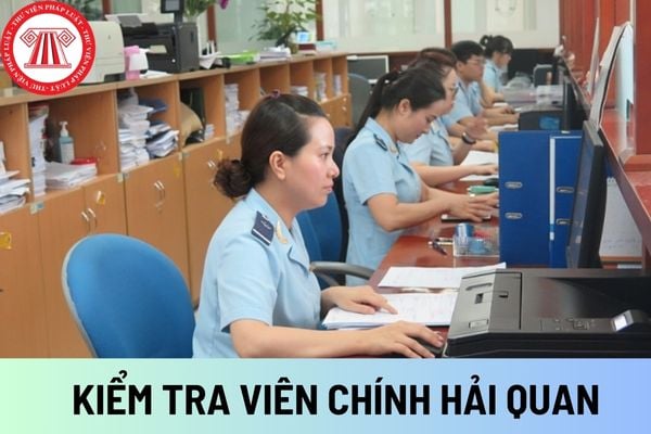 KIỂM TRA VIÊN CHÍNH HẢI QUAN