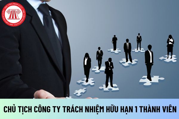 Quyết định bổ nhiệm Chủ tịch Công ty trách nhiệm hữu hạn 1 thành viên