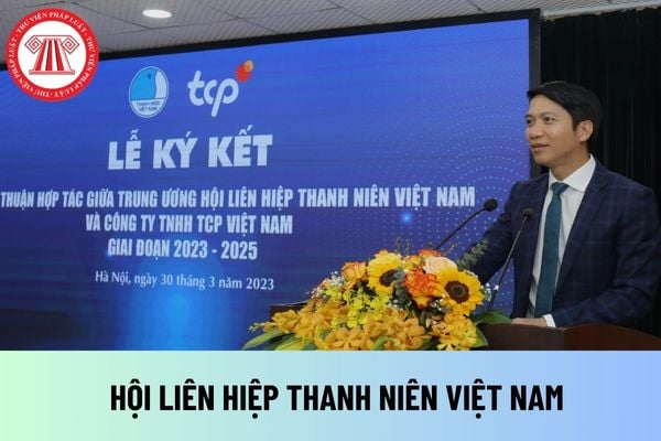 Hội Liên hiệp Thanh niên Việt Nam