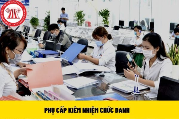 KIÊM NHIỆM CHỨC DANH