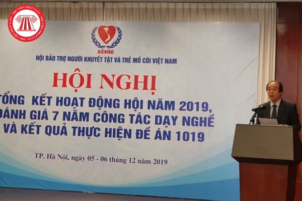 Hội Bảo trợ người tàn tật và trẻ mồ côi Việt Nam