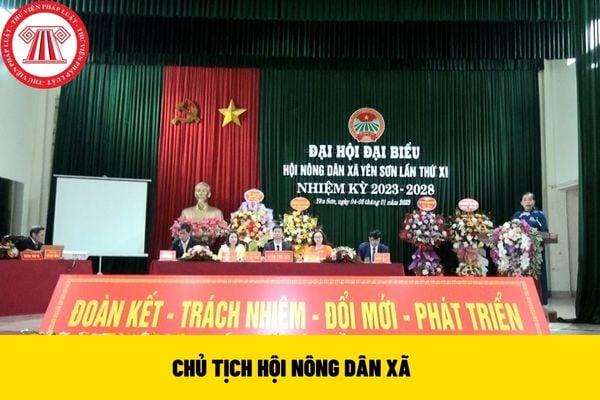 CHỦ TỊCH HỘI NÔNG DÂN XÃ