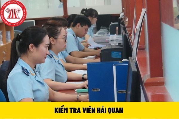 KIỂM TRA VIÊN HẢI QUAN