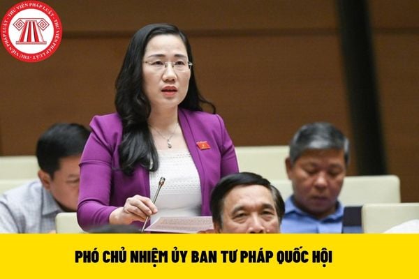 PHÓ CHỦ NHIỆM ỦY BAN TƯ PHÁP QUỐC HỘI