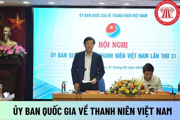 ỦY BAN QUỐC GIA VỀ THANH NIÊN VIỆT NAM