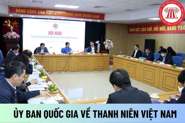 ỦY BAN QUỐC GIA VỀ THANH NIÊN VIỆT NAM