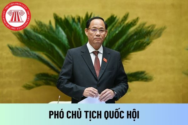 Phó Chủ tịch Quốc hội