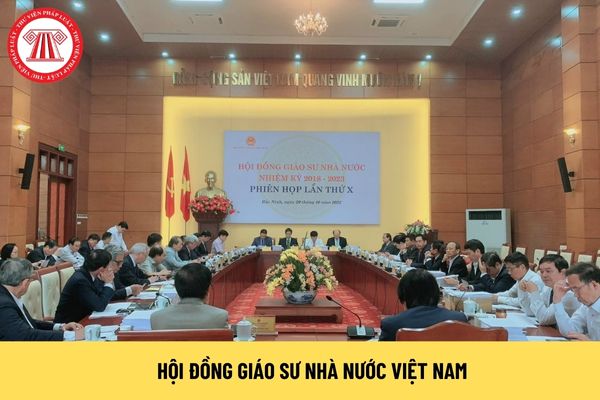 hội đồng chức danh giáo sư