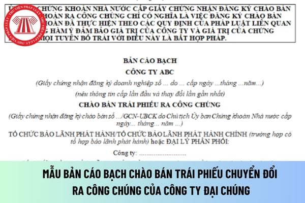 Bản cáo bạch chào bán trái phiếu chuyển đổi