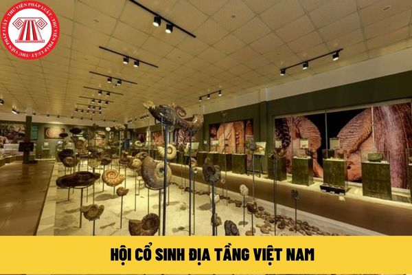 Hội Cổ sinh Địa tầng Việt Nam