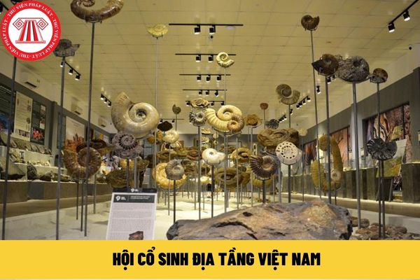 Hội Cổ sinh Địa tầng Việt Nam