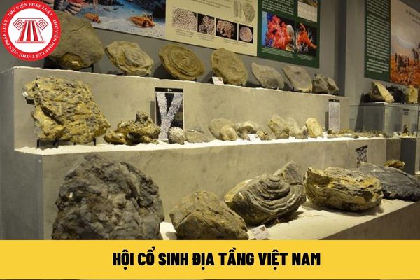Hội Cổ sinh địa tầng Việt Nam
