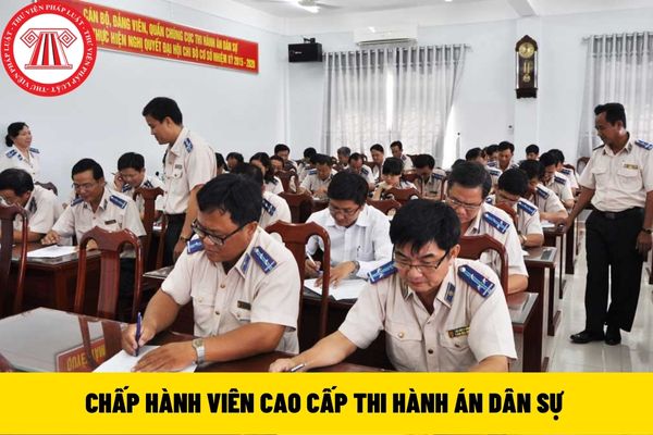 Chấp hành viên cao cấp thi hành án dân sự