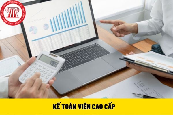 kế toán viên cao cấp