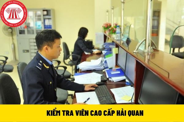 KIỂM TRA VIÊN CAO CẤP HẢI QUAN