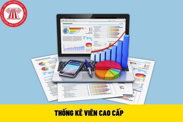 Thống kê viên cao cấp