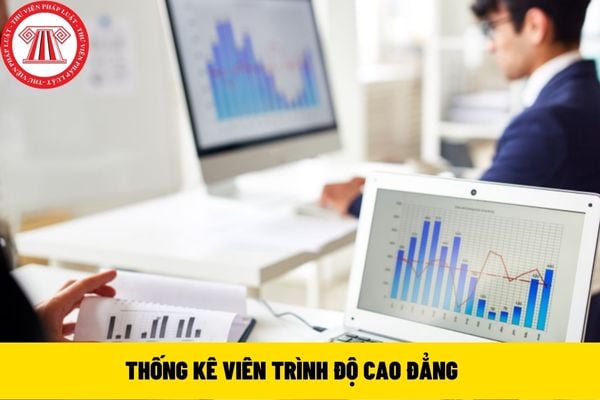 Thống kê viên trình độ cao đẳng 