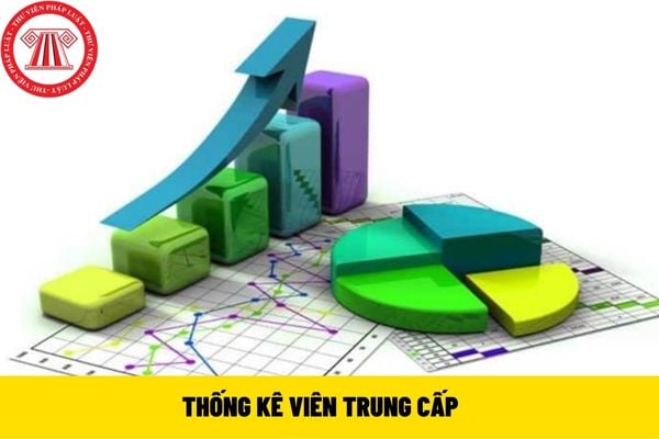 Thống kê viên trung cấp