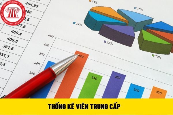 thống kê viên trung cấp