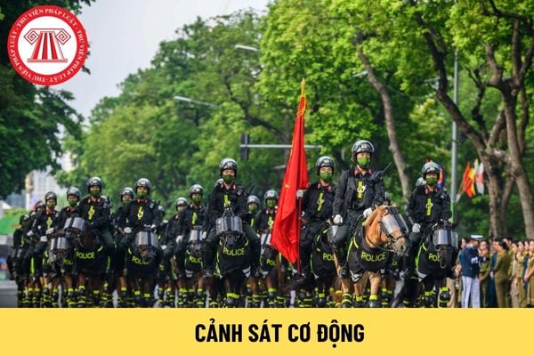 cảnh sát cơ động